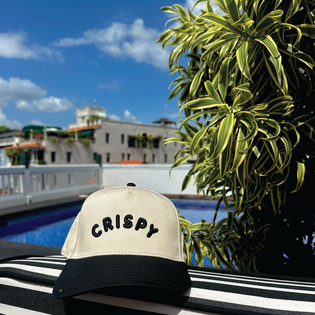 Crispy - Black & Natural Hat